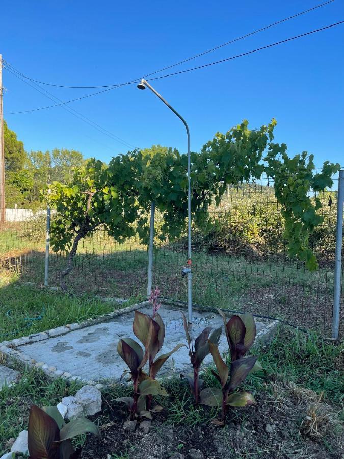 Beautiful Nearby Beach House With Garden, Private Pool And Large Yard Szidári Kültér fotó